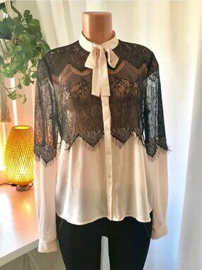 ASOS Lace Chiffon Blouse 2